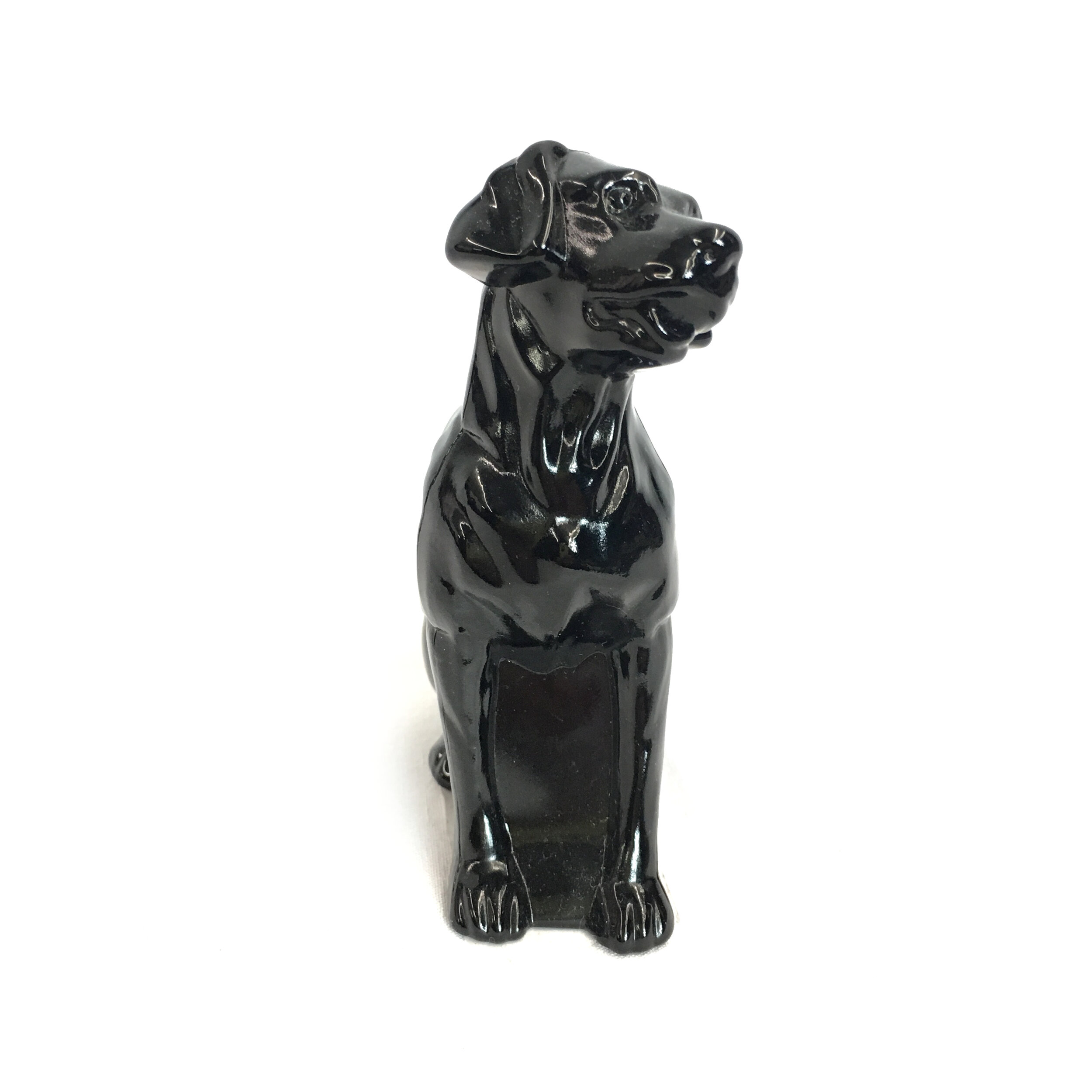 Lab - Black 2.JPG