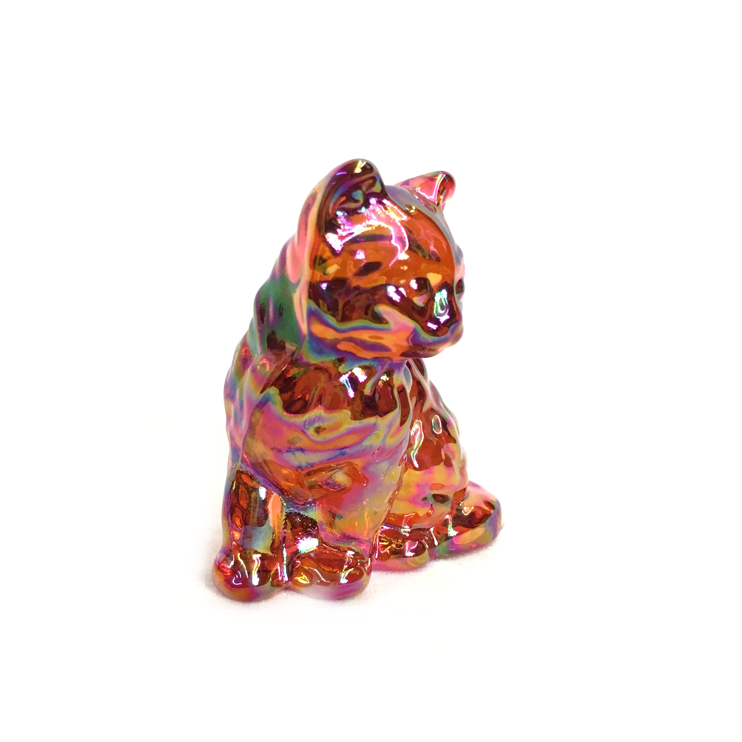 Kitty - Marigold 3.JPG