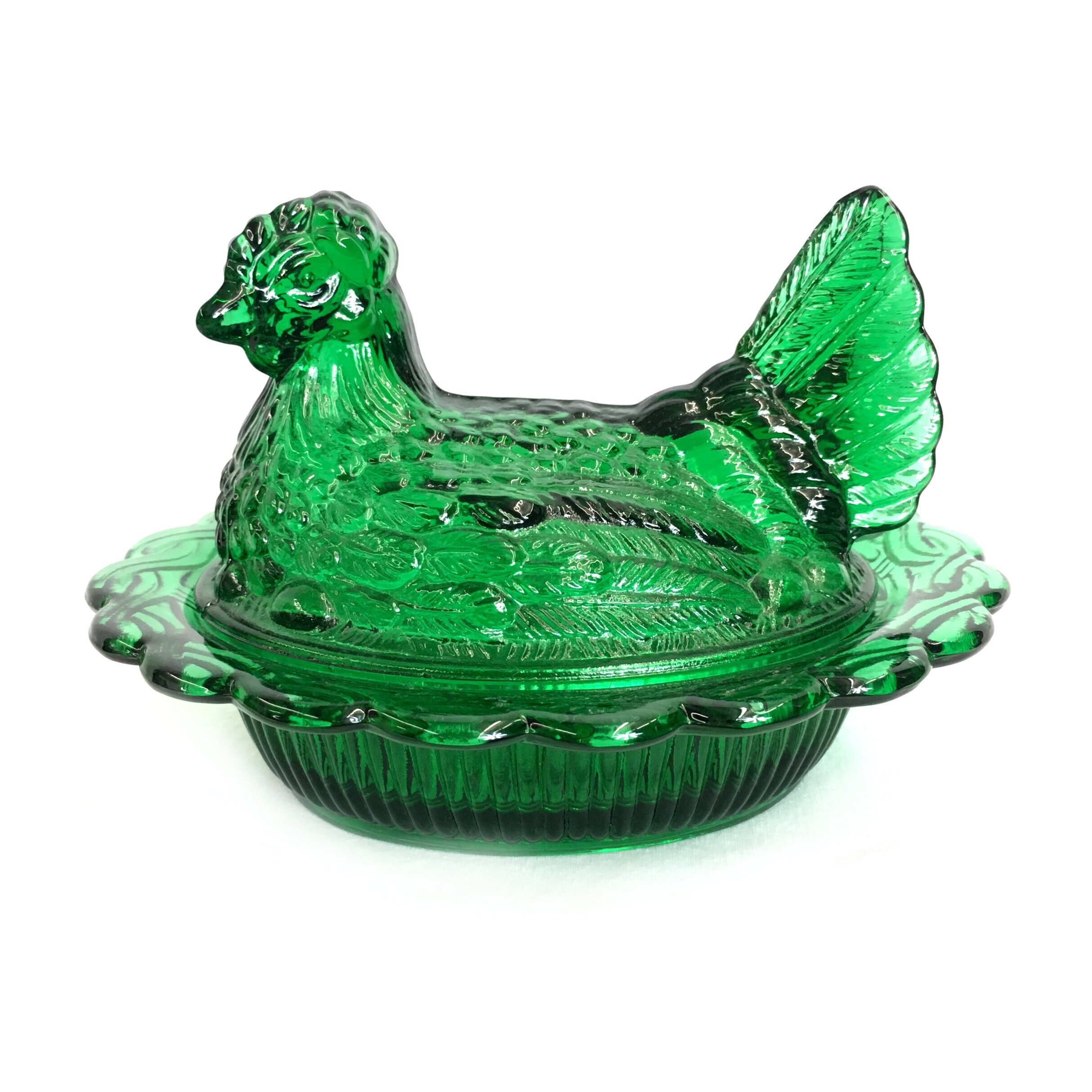 Hen+Evergreen+1.jpg