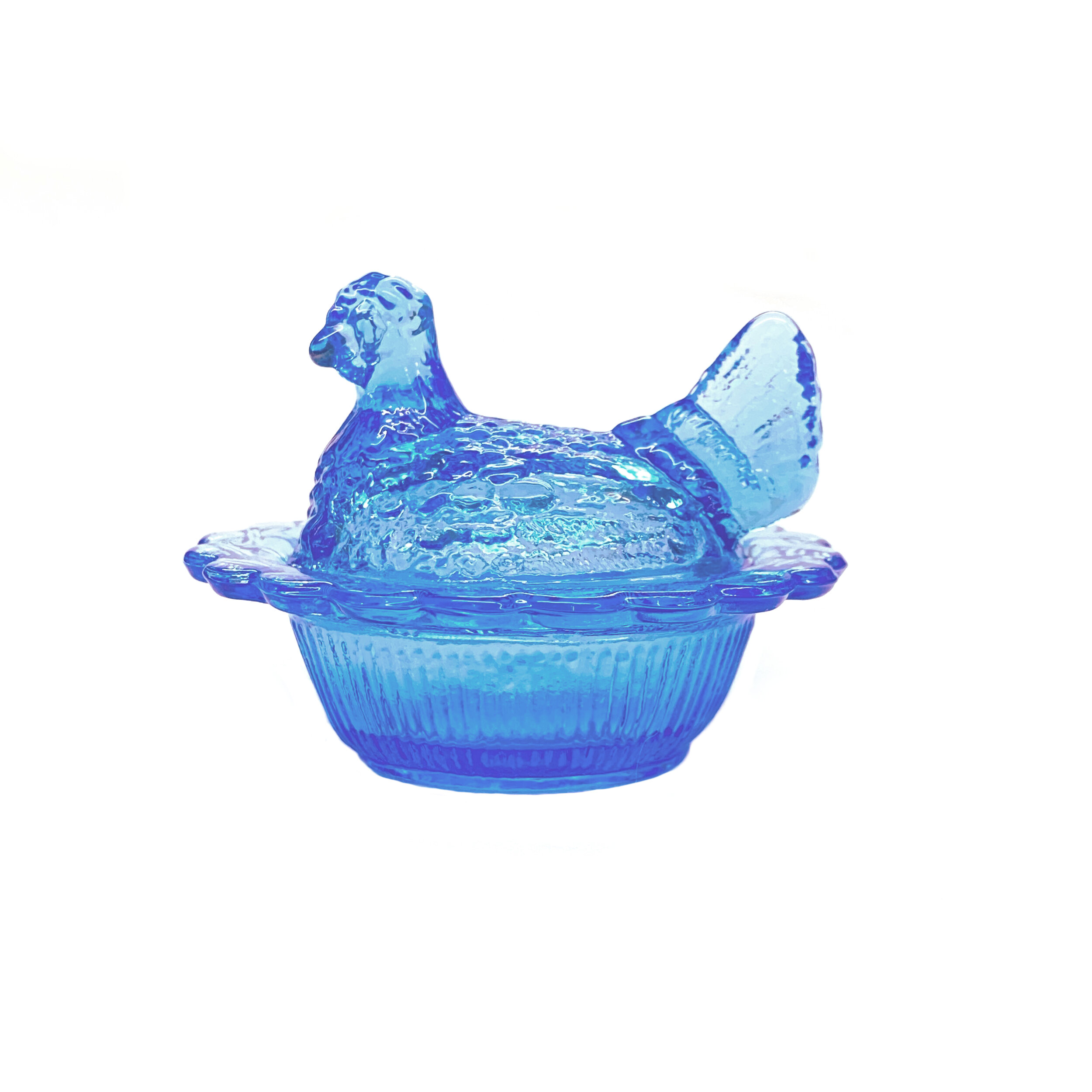 Chicken blue1.jpg