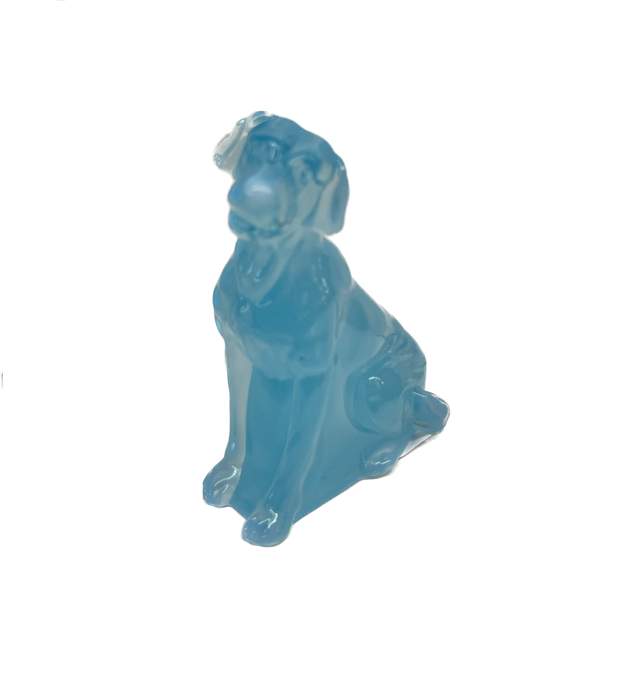 Glass Labrador in Aqua Opal