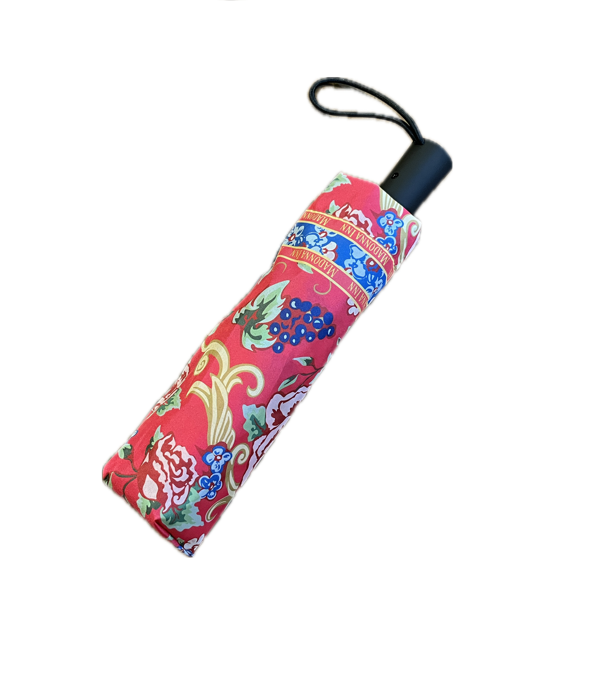 travel umbrella 2.png